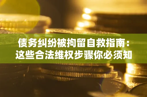 济南债务纠纷被拘留自救指南：这些合法维权步骤你必须知道！