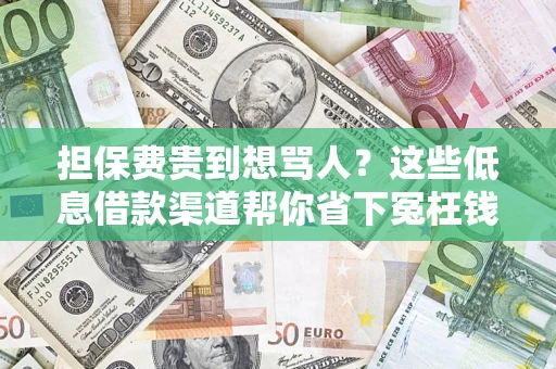 济南担保费贵到想骂人？这些低息借款渠道帮你省下冤枉钱