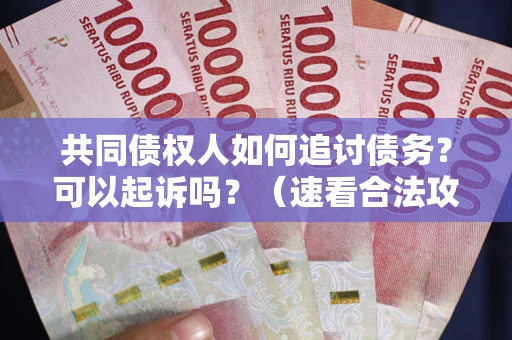 济南共同债权人如何追讨债务？可以起诉吗？（速看合法攻略）