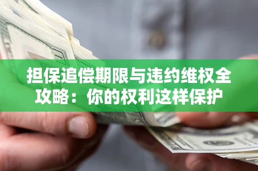 济南担保追偿期限与违约维权全攻略：你的权利这样保护