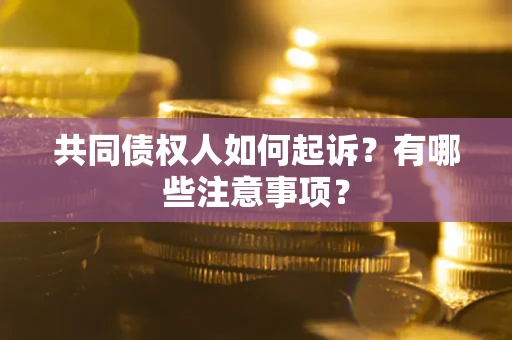 济南共同债权人如何起诉？有哪些注意事项？